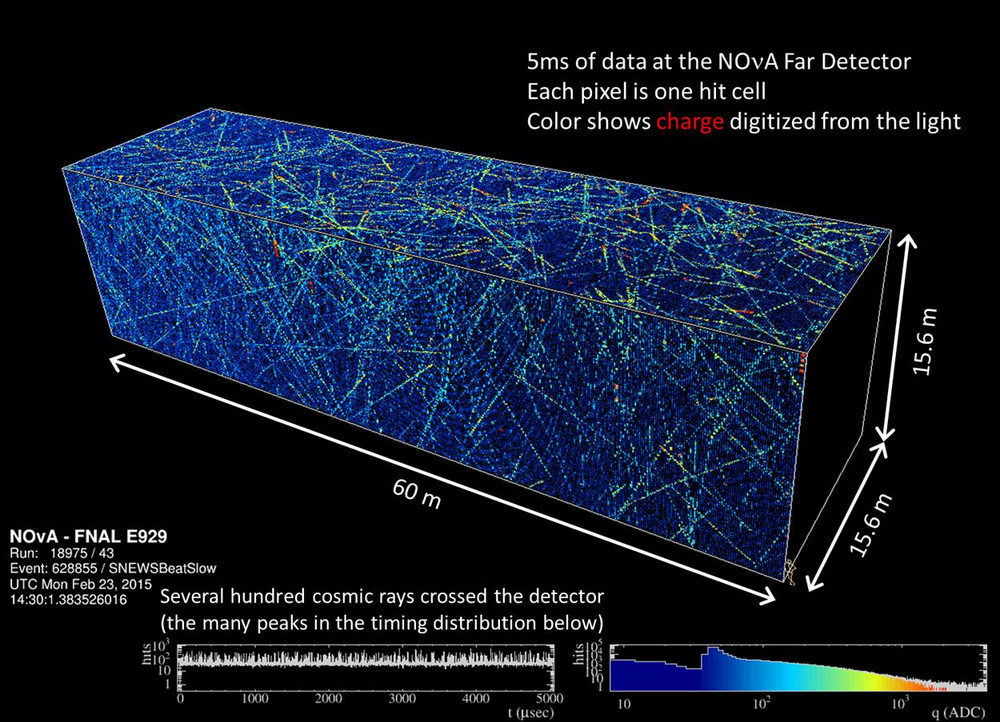 5 milliseconds of NOvA far detector data, showing hundreds of cosmic ray tracks crossing the 15.6 by 15.6 by 60 meter detector